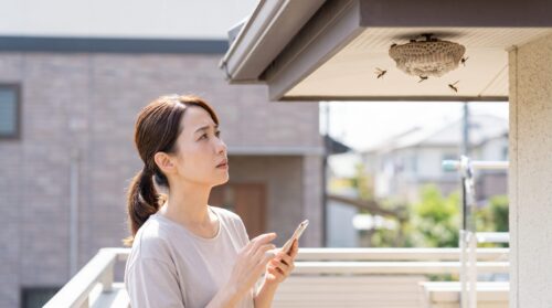 自宅の軒下にできたアシナガバチの巣を不安げに見上げる日本の女性と、近くを飛ぶ蜂。