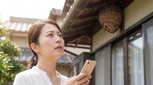 自宅の軒下で蜂の巣を発見し、焦ってスマートフォンを操作する日本人の女性