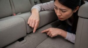 車の後部座席で日本人女性がシートの隙間やフロアカーペットを覗き込み、奥深くに潜む小さなノミや卵を確認している様子。