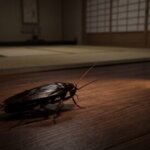 暗い和室の木の床を這う、光沢のある大きなクロゴキブリの夜間の様子。