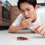 キッチンでワモンゴキブリの遅い動きに驚き、指をさす日本人男性