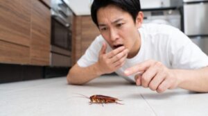 キッチンでワモンゴキブリの遅い動きに驚き、指をさす日本人男性