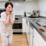 キッチンのシンクに出た大型のワモンゴキブリに驚く日本人女性