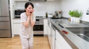キッチンのシンクに出た大型のワモンゴキブリに驚く日本人女性